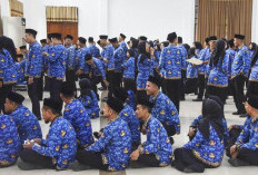 Ini Peserta Selkom PPPK Tahap II yang Dinyatakan Lulus