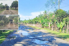 Wisata Lubang Seribu yang Membahayakan, Jalan Tugu Gajah - Talang Arah Jadi Sorotan