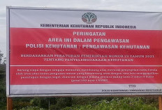 Tim Gakkum Bengkulu Pasang Plang Peringatan dan Segel Kawasan Konsensi PT API