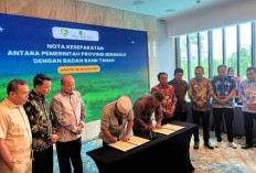 Potensi 20 Ribu Ha, Pemprov Bengkulu Diberikan HPL 397 Ha