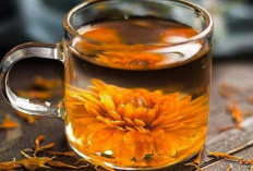 Mengungkap Rahasia dari Manfaat Bunga Marigold yang Dapat Melawan Radikal Bebas