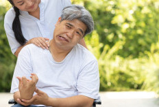 Jangan Dilewatkan! Inilah 5 Pola Makan untuk Mencegah Stroke yang Efektif 