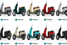 Premium Style, Honda Scoopy Pristige 2026 Punya 10 Warna Terbaru