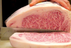 Termasuk Kaviar dan Wagyu, Ini Dia Deretan Makanan yang Dulunya Murah tapi Kini Super Mahal