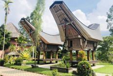 Taman Mini Indonesia Indah Jadi Pilihan Terbaik untuk Destinasi Wisata Budaya yang Menyenangkan 