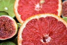 Selain Penyakit Kanker, Ternyata Buah Grapefruit Mampu Mengatasi Penyakit Lainnya