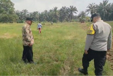 XIV Koto Siap Wujudkan Kemandirian Pangan lewat Program Satu Desa Satu Hektar