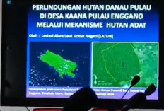 Gandeng Latun, Pemda Bahas Rencana Hutan Adat  