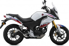 Mengenal Honda CBF190X, Motor Adventure Berjulukan Africa Twin Versi Mini