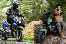 Honda Square X125 2026 Vs Yamaha Zuma 125: Jawaban Selisih Harga Lebih Tinggi 2X Lipat!