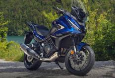 Kawasaki Digoyang! Garap Segmen Sport Touring, Honda Rilis NT1100 2025