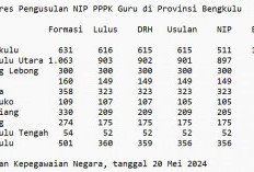 NIP 3.073 Peserta Lulus Tes PPPK Guru Provinsi Bengkulu Sudah Terbit, Ini Sebaran Lengkapnya Untuk 10 Daerah