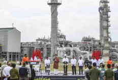 Blok LNG Tangguh dan Reindustrialisasi Papua