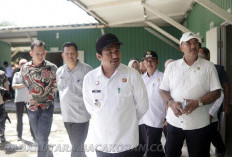 Menunggu Output Pejabat Rame-rame Ngantor di Enggano