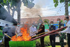 Jaksa Soroti Angka Kasus Narkotika dan Asusila di Bengkulu Utara