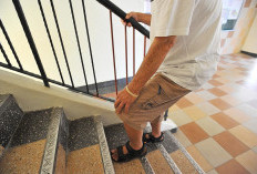 Jarang Diketahui, Ini Beberapa Faktor Penyebab Lutut Berbunyi Saat Naik Tangga