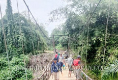 Tinggal Janji: Jembatan Gantung Desa Gembung Raya Tak Kunjung Diperbaiki