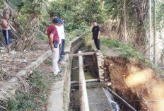 Mayoritas Irigasi Kewenangan Kabupaten Rusak, Pemkab Usulkan Perbaikan 2026