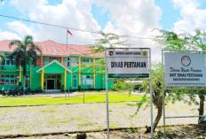 Hanya 9 Kecamatan Dapat Jatah Pupuk Subsidi, Totalnya 3.451 Ton