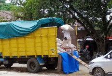 Persiapan Salur Bansos Beras 577 Ton Pekan Ini