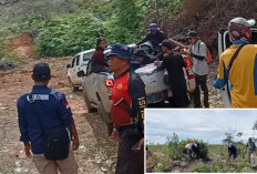 Gakkum Kehutanan Bakal Habisi Kebun Sawit Ilegal di Kawasan Hutan Mukomuko