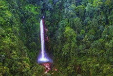 Mitos dan Legenda! Mengapa Curug di Bogor Ini Dinamai 'Curug Seribu'?