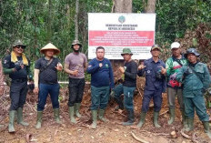 PBPH Dibekukan, Izin PT. API dan PT. BAT Berpotensi Dicabut