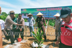 Tanam Perdana Program Replanting Sawit, Target Menjamin Kesejahteraan Masyarakat