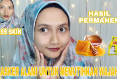 Ternyata Bukan Sekedar Minuman Yang Menyehatkan ! Intip Manfaat Masker Susu Dancow Dan Madu Untuk Wajah