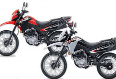 Perang Dual Purpose, Honda XR150L 2025 Hadapi Sesama Jepang hingga Austria