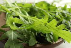 Yuk Kenali Manfaat dari Sayur Arugula, Dapat Meningkatkan Gairah Seksual Hingga Baik untuk Kesehatan Tubuh