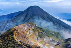 Spot Pendakian Gunung Gede Pangrango, Jabar, Track Menantang, Sarat Mistis 