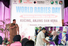 PDHI Bengkulu Gelar Vaksinasi Hewan, Wujudkan Mukomuko Bebas Rabies