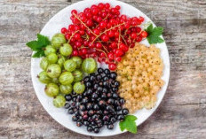 Manfaat Kesehatan Pada Buah Currant yang Kaya Akan Nutrisi 