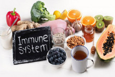 Makanan Lezat yang Bisa Membantu Meningkatkan Imun Tubuh! Ini 5 Pilihan yang Wajib Dicoba!