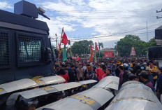 Sampaikan 8 Tuntut, Demo Mahasiswa di Bengkulu Diwarnai Kericuhan