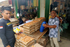 Polisi Cek Harga Sembako di Pasar, Begini Hasilnya...