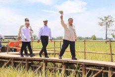 Januari-Agustus 2025, Produksi Beras Nasional Capai 24,97 Juta Ton