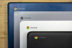 Mana Yang Lebih Bagus? Inilah Perbedaan Antara Chromebook dan Leptop Windows, Yuk Disimak..