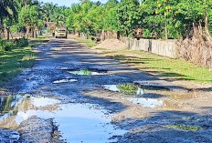 Berharap Pemkab BU Perbaiki Jalan Tugu Gajah-Talang Arah 