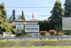 Pemkab Mukomuko Latih Nelayan Tinggalkan Alat Tangkap Ikan yang Merusak Lingkungan