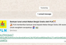Link MBG PLN, Jangan Diklik, Penipuan!
