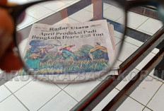 Bulog Serap 104 Ton Gabah Petani