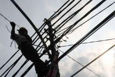 Pemdes Tanjung Kemenyan Minta Bupati Fasilitasi Audiensi dengan PLN 