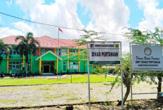 Mukomuko Krisis Tenaga Penyuluh Pertanian