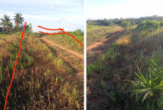 Dugaan Caplok Jalan TMMD, 2 Kades Bakal Datangi PT Air Muring