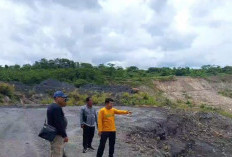 Pantau PPKH PT. IBP, Ini Temuan KPHL Bukit Daun