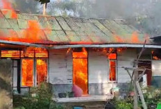 BREAKING NEWS! Rumah Nenek Engkong Bukit Berlian Terbakar