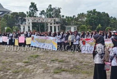 Tolak PPPK Paruh Waktu, Honorer di Mukomuko Geruduk Kantor Bupati dan DPRD