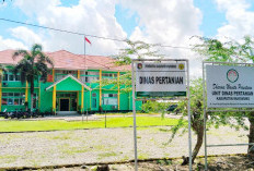 Ribuan Hektar Lahan Pertanian Tidak Boleh Alih Fungsi Perkebunan dan Industri